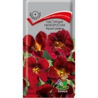 Настурция низкорослая Чёрный трюфель