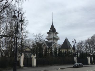 Дом Клейнмихель со службой, участком парка и оградой