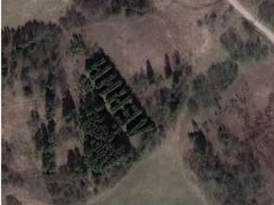 Геоглиф "Ленин"