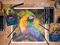 Набор цветных карандашей Derwent "Chromaflow" 12 цв