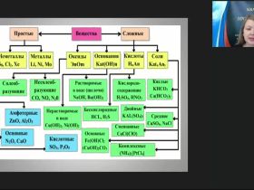 Международный вебинар "Важнейшие классы неорганических веществ. Оксиды. Основания"