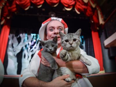 Билеты на Котобум. Дмитрий Куклачёв (Городской театр) / Театр | Афиша | ИнфоТаймс