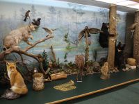 Краеведческий музей Пожарского муниципального района