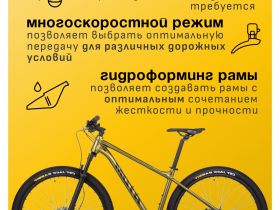 Горный велосипед Atom Bion Nine 50, год 2024, цвет Желтый, ростовка 14.5