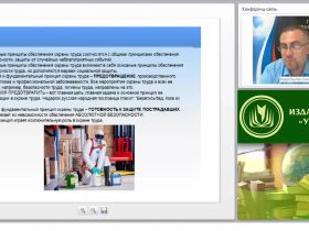 Международный вебинар "Предупреждение несчастных случаев на производстве и профзаболеваний"