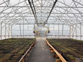 Крупнейший в Якутии лесопитомник открыли в селе Табага