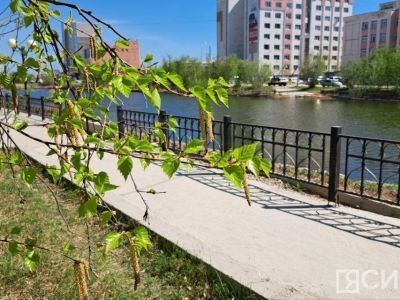 Россиян на следующей неделе ждет дополнительный выходной день в честь праздника