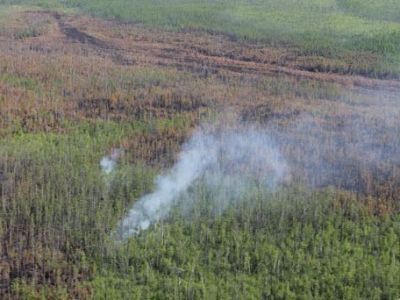 Более 50 населённых пунктов Якутии попали в зону задымления