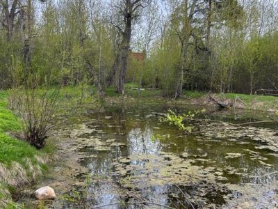 Парк регулярной планировки