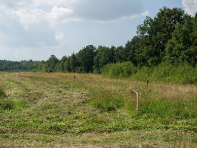 Мэрия Якутска просит граждан быть внимательными при покупке земельных участков