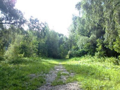 Парк Бутаковых, Сметаниных регулярно-пейзажной планировки