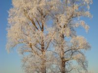Мемориальный отдел им. Е. В. Честнякова в деревне Шаблово