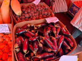 Молочная продукция, мясо и овощи: обзор цен на ярмарке «Продовольствие-2025» в Якутске