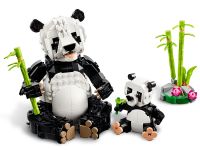 Creator 31165 Конструктор Дикие животные: семья панд