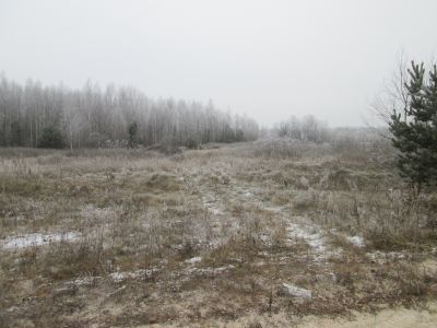 Памятное место, где русская армия в XVIII веке вела бои против войск шведского короля Карла XII