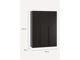 Распашной шкаф Кимбол 3-150x240 Черный