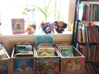 Большепикинская библиотека