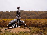 Концертная площадка «Дикая мята»