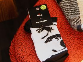 Носки "Эрмитажные коты" 38-41