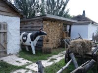 Купинский районный музейно-мемориальный комплекс