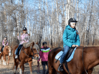 Конный клуб «Рыжая лошадь» г. Абакана