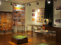 Городской историко-краеведческий музей г. Полярного