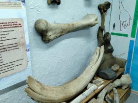 Дайвер Егор Васильев рассказал об удивительных находках на дне якутских рек