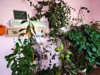 Библиотека-филиал № 6 п. Новопавловка