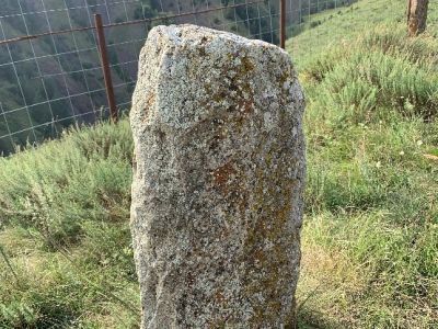 Стела № 38 раннемусульманского кладбища № 3 архитектурного комплекса "Мусийкъонгийкоте"