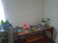 Краснояровская сельская библиотека – филиал № 14