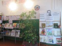 Комаровская библиотека