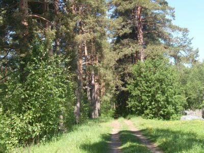 Усадьба Храповицких. Парк