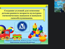 Вебинар «Создание условий для освоения детьми раннего возраста культурно-гигиенических навыков и навыков самообслуживания»