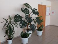 Туртасский сельский дом культуры