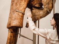 Пятигорский краеведческий музей