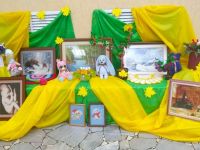 Новопоселковский сельский дом культуры