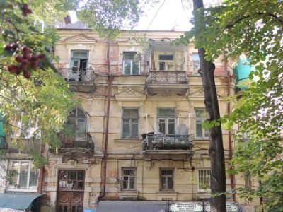 Особняк Тимофея Дружинина