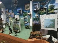 Музей природы Восточного Приазовья