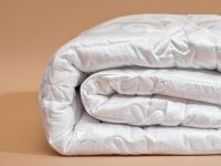 Одеяло Уютный шелк/Cozy Silk