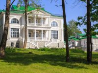 Дворцово-парковый ансамбль в д. Бородино
