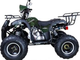Квадроцикл AVANTIS Hunter 8+ 125 2018