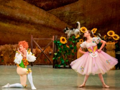 Тщетная предосторожность