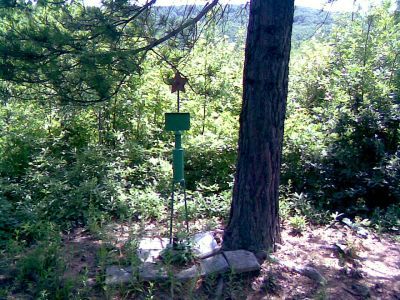 Памятное место: высота 501,4, где старший сержант Н.М. Новицкий 10 октября 1942 года закрыл своим телом амбразуру дзота противника. За этот подвиг ему было присвоено звание Героя Советского Союза