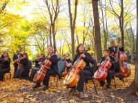 Липецкий Дом музыки