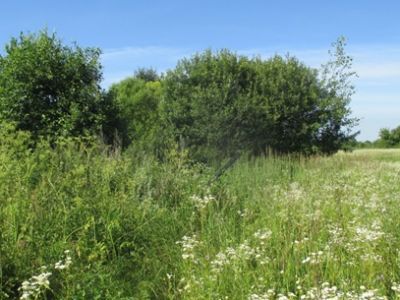 Братская могила 7 советских воинов, погибших в 1943 году в боях с немецко-фашистскими захватчиками