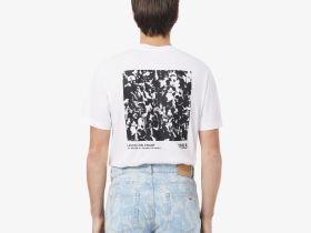 Мужская футболка Lacoste из хлопка