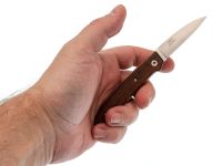 Нож складной Massimo Fantoni Design-2 Dweller FAN/DWELLER/SnW, сталь 19C27, рукоять Snake Wood