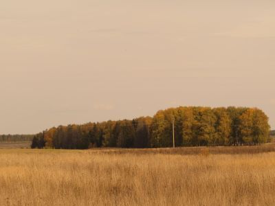 Священная роща