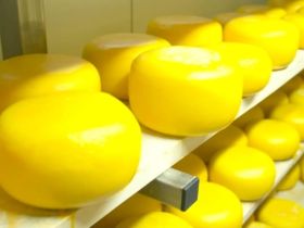 Двадцать видов молочной продукции производит цех в Ленском районе Якутии