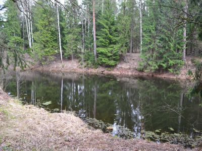Пруд Северный Нижний Новошалейный с плотиной